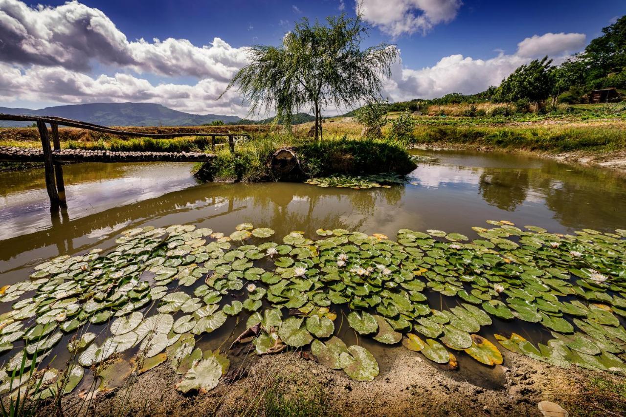 Agriturismo Biologico Autosufficienza Bagno di Romagna Zewnętrze zdjęcie