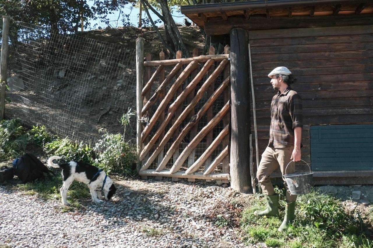 Agriturismo Biologico Autosufficienza Bagno di Romagna Zewnętrze zdjęcie