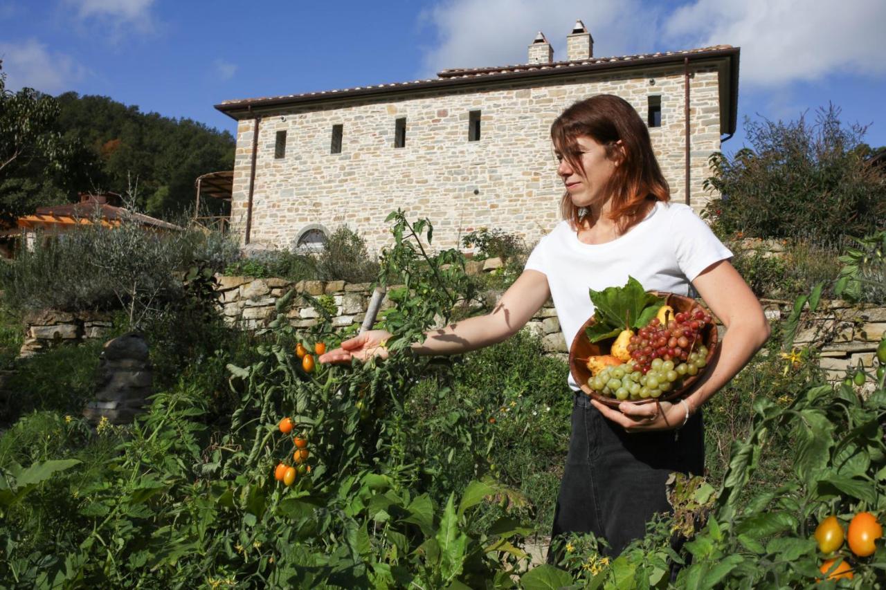Agriturismo Biologico Autosufficienza Bagno di Romagna Zewnętrze zdjęcie