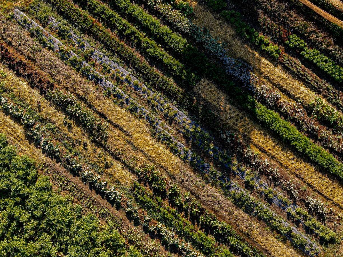 Agriturismo Biologico Autosufficienza Bagno di Romagna Zewnętrze zdjęcie